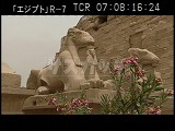 エジプト・遺跡・カルナック神殿・参道のスフィンクス