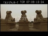 エジプト・遺跡・カルナック神殿・参道のスフィンクス