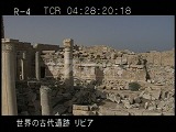 リビア・遺跡・レプティスマグナ・セプティミウス・セウェルスのフォロ