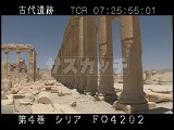 シリア・遺跡・パルミラ・列柱道路