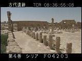 シリア・遺跡・パルミラ・アゴラ