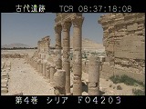 シリア・遺跡・パルミラ・アゴラ