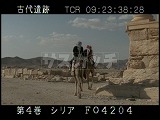 シリア・遺跡・パルミラ・観光客