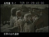 中国・遺跡・兵馬俑・１号坑・兵士と馬