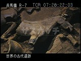 中国・遺跡・兵馬俑・２号坑・資料・発掘された馬俑