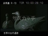 中国・遺跡・兵馬俑博物館・始皇帝陵の水禽