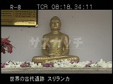 スリランカ・遺跡・アヌラーダプラ・ルワンウェリセーヤ寺院・仏陀