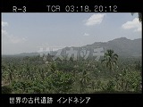 インドネシア・遺跡・ボロブドール・全景ロング