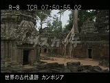 カンボジア・遺跡・タ・プロム・小祠堂と第２周壁