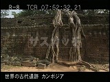 カンボジア・遺跡・タ・プロム・第２周壁・喰い込むスポアン