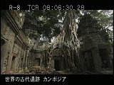 カンボジア・遺跡・タ・プロム・小祠堂・全景