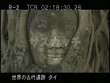 タイ・遺跡・アユタヤ・ワット・プラマハタート・木根中の仏像首