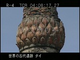 タイ・遺跡・アユタヤ・ワット・プラシーサンペット・仏堂跡・蓮の実
