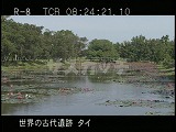 タイ・遺跡・スコータイ・ワット・プラパイルワン・睡蓮が咲く池