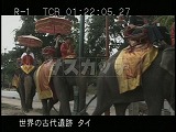 タイ・遺跡・アユタヤ・観光客乗せる象