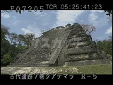 グアテマラ・遺跡・マヤ・ティカル・失われた世界