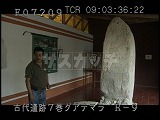 グアテマラ・遺跡・マヤ・ティカル博物館・館長・石碑31を案内