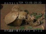グアテマラ・遺跡・マヤ・ティカル・1号神殿・発掘された人骨