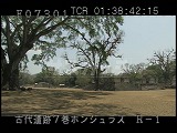ホンジュラス・遺跡・マヤ・コパン・神聖文字の階段LS