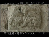ホンジュラス・遺跡・マヤ・コパン・神聖文字の階段