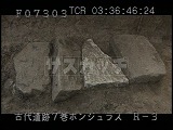 ホンジュラス・遺跡・マヤ・コパン・9L-23・発掘する中村氏