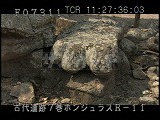 ホンジュラス・遺跡・マヤ・コパン・トカゲの石像