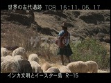 ペルー・遺跡・インカ・ウチュイクスコ・羊飼い