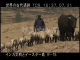 ペルー・遺跡・インカ・羊放牧