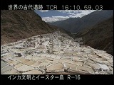 ペルー・遺跡・インカ・マラスの塩田・ロング