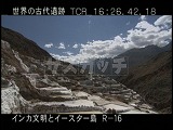 ペルー・遺跡・インカ・マラスの塩田・ロング