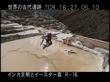 ペルー・遺跡・インカ・マラスの塩田・作業・望遠