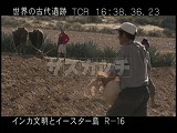 ペルー・遺跡・インカ・農作業・種まき