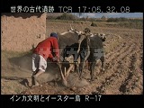 ペルー・遺跡・インカ・農作業・種まき
