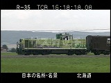 D01135-036