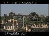 リビア・遺跡・レプティスマグナ・劇場方向・ロング