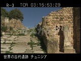 チュニジア・遺跡・カルタゴ・ローマ人の住居・ヴォリエールの別荘