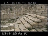 チュニジア・遺跡・ザマ遺跡・発掘現場
