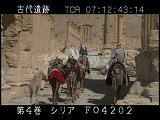 シリア・遺跡・パルミラ・列柱道路