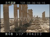シリア・遺跡・パルミラ・列柱道路（喫茶店跡）