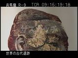 中国・遺跡・兵馬俑・３号抗・資料・彩色された俑