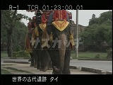 タイ・遺跡・アユタヤ・観光客乗せる象