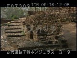 ホンジュラス・遺跡・マヤ・コパン・9L-23・発掘現場